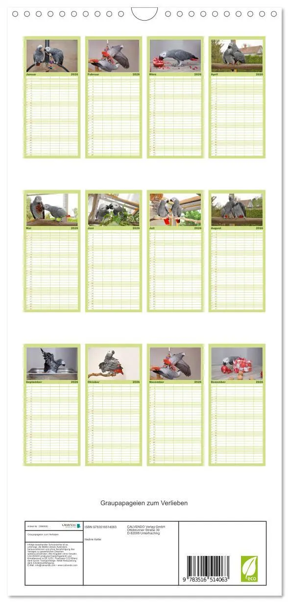 Bild: 9783516514063 | Familienplaner 2026 - Graupapageien zum Verlieben mit 5 Spalten...