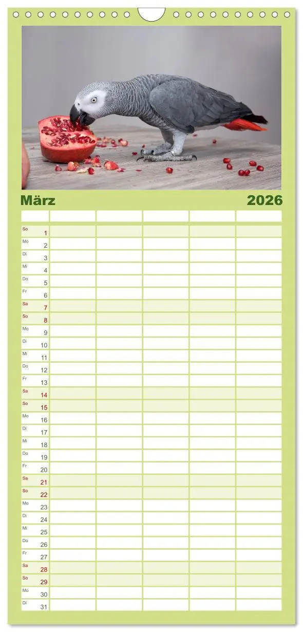 Bild: 9783516514063 | Familienplaner 2026 - Graupapageien zum Verlieben mit 5 Spalten...
