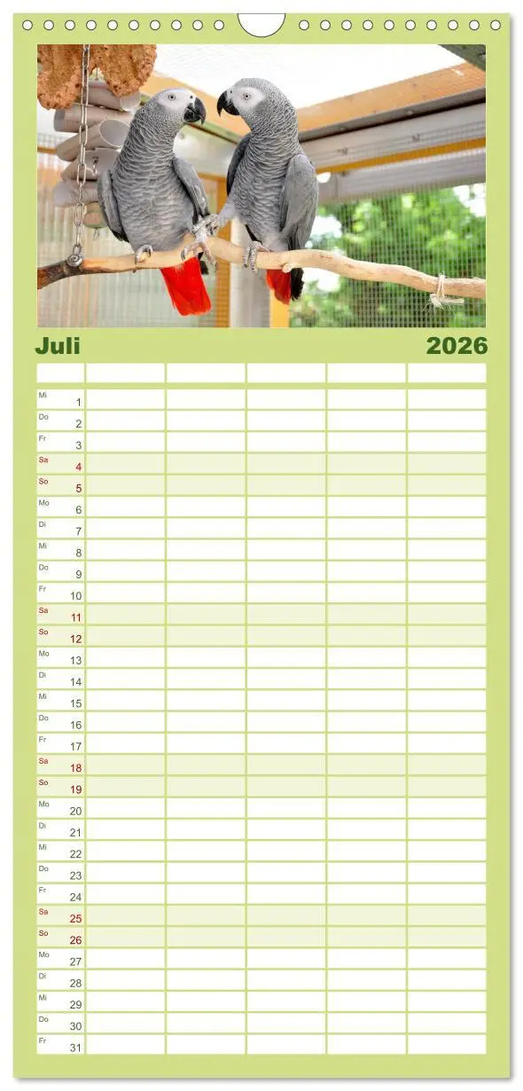 Bild: 9783516514063 | Familienplaner 2026 - Graupapageien zum Verlieben mit 5 Spalten...