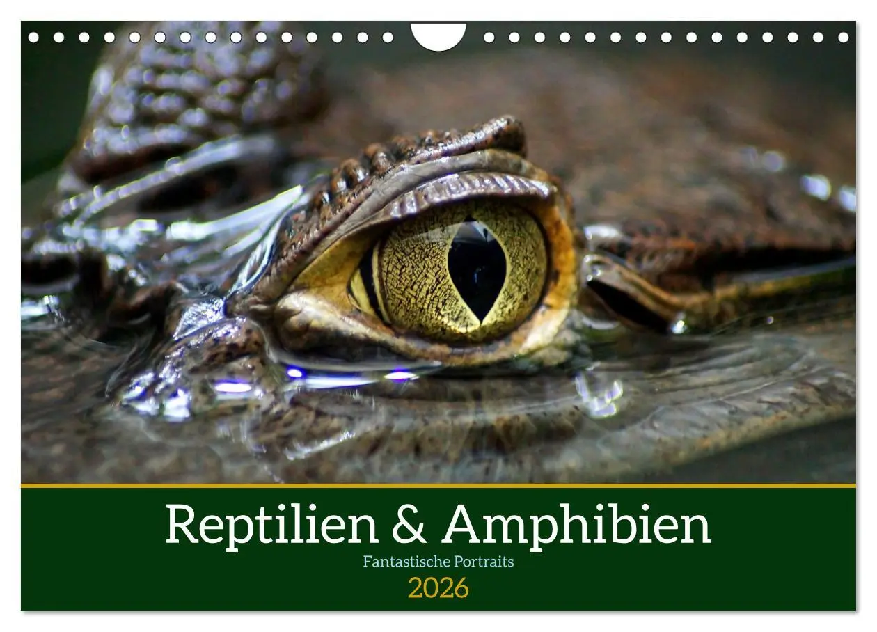 Cover: 9783457584163 | Reptilien &amp; Amphibien Portraits (Wandkalender 2026 DIN A4 quer),...