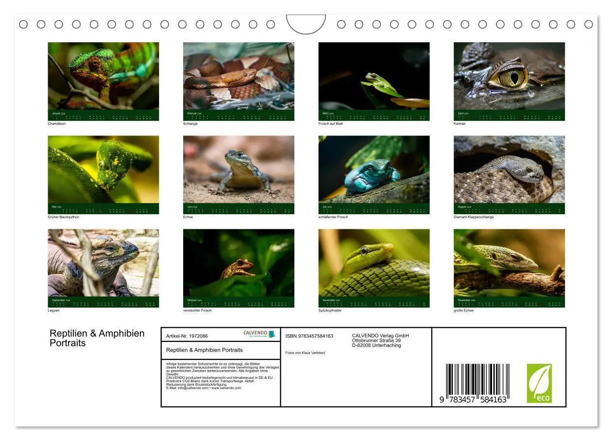 Bild: 9783457584163 | Reptilien &amp; Amphibien Portraits (Wandkalender 2026 DIN A4 quer),...