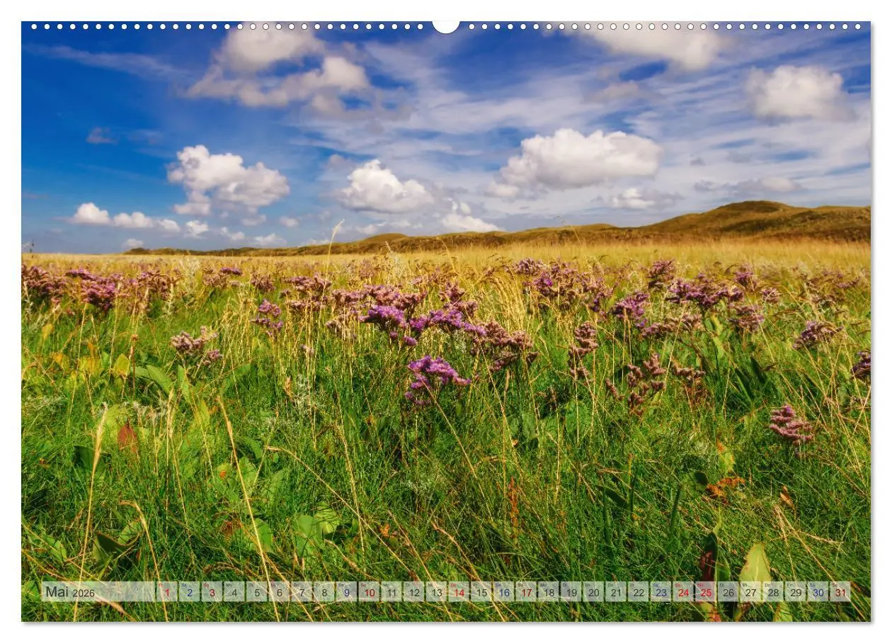 Bild: 9783457654163 | Texel - Kleine Insel, große Vielfalt (hochwertiger Premium...