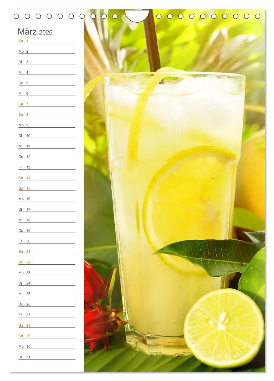 Bild: 9783516364163 | Tropical Cocktails - Erfrischend und fruchtig (Wandkalender 2026...