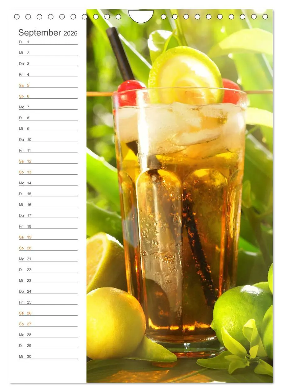 Bild: 9783516364163 | Tropical Cocktails - Erfrischend und fruchtig (Wandkalender 2026...