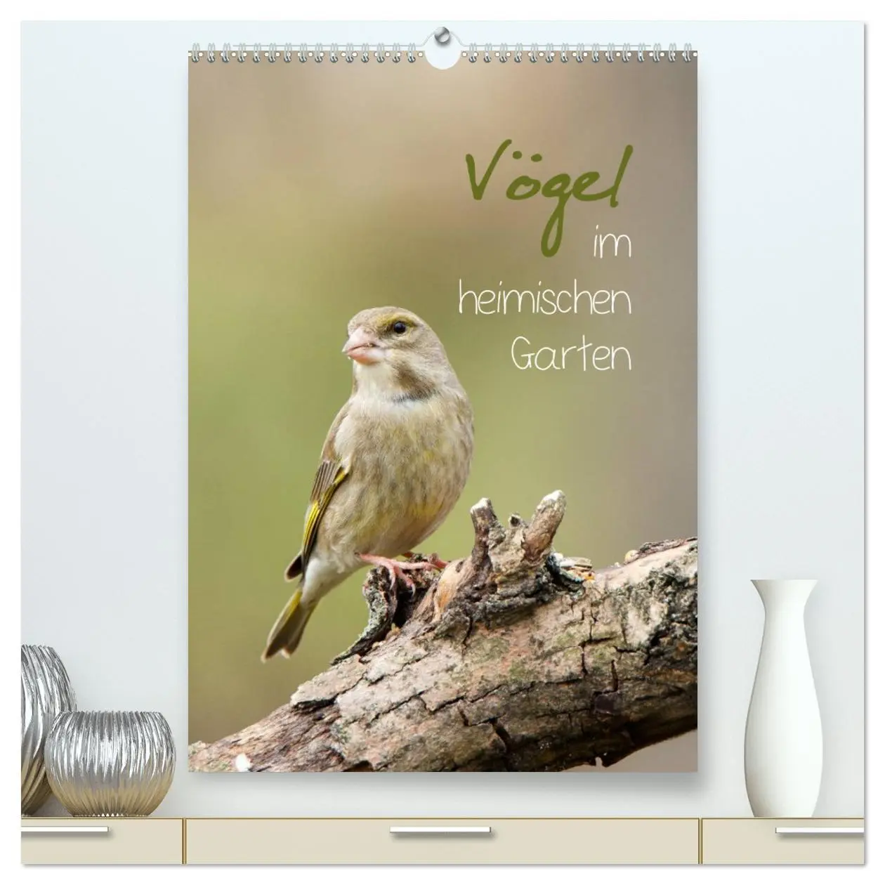 Cover: 9783516424263 | Vögel im heimischen Garten (hochwertiger Premium Wandkalender 2026...
