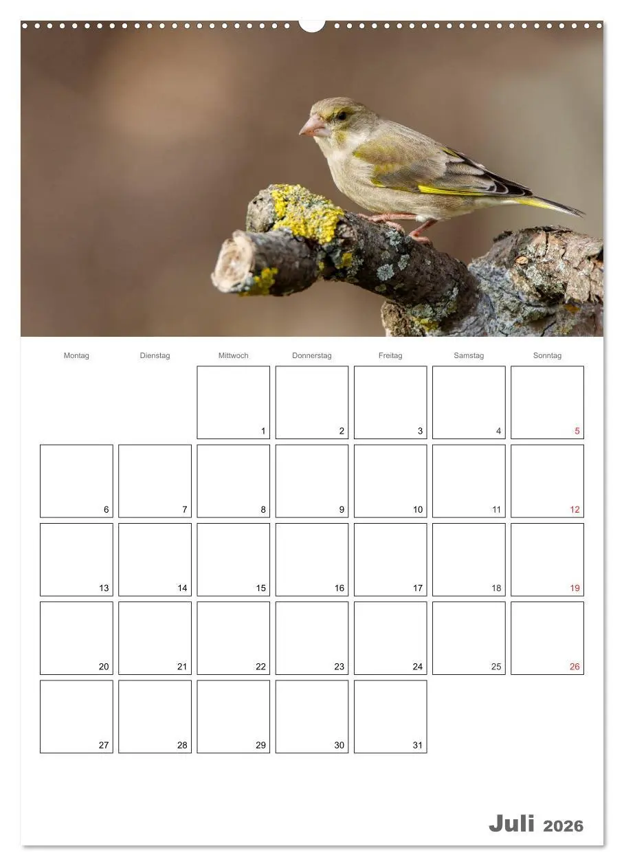 Bild: 9783516424263 | Vögel im heimischen Garten (hochwertiger Premium Wandkalender 2026...