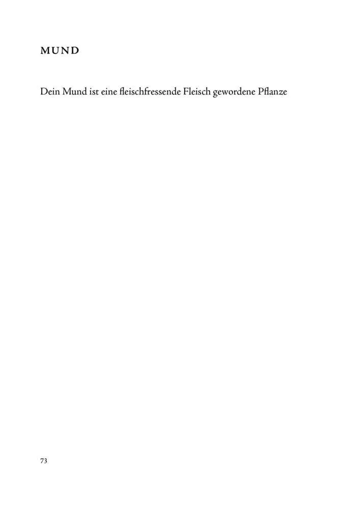 Bild: 9783949774263 | Feuerzungen | Gedichte | Diego Valverde Villena | Buch | 96 S. | 2024