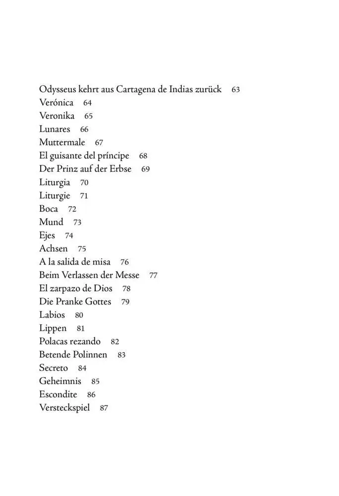 Bild: 9783949774263 | Feuerzungen | Gedichte | Diego Valverde Villena | Buch | 96 S. | 2024