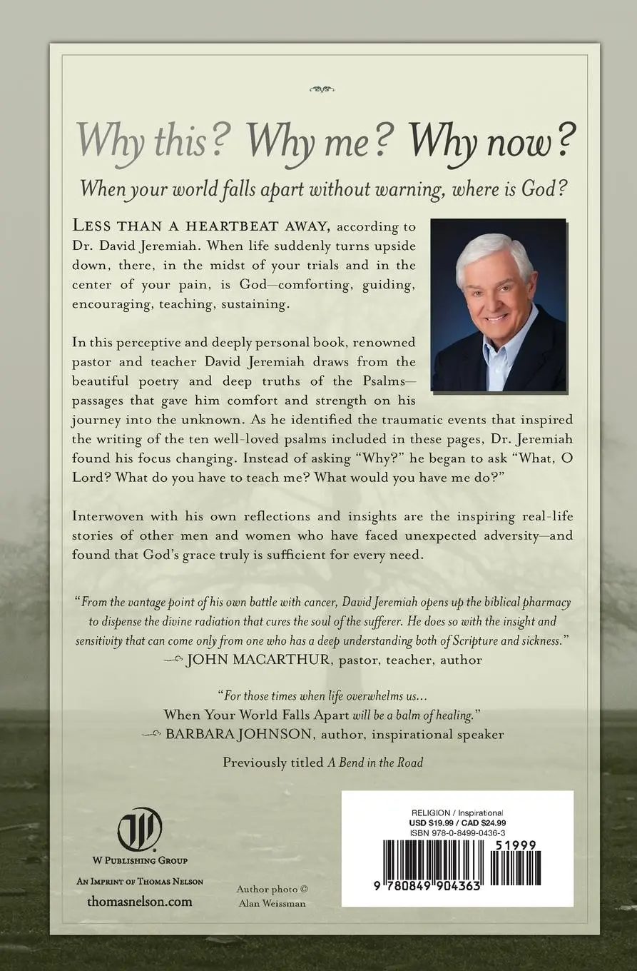 Rückseite: 9780849904363 | When Your World Falls Apart | See Past the Pain of the Present | Buch