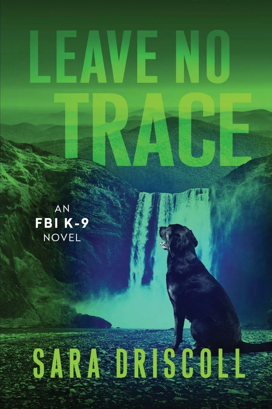 Cover: 9781496754363 | Leave No Trace | Sara Driscoll | Taschenbuch | Englisch | 2024