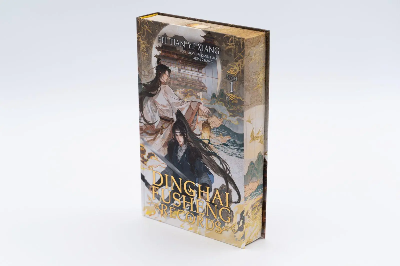Bild: 9783426564363 | Dinghai Fusheng Records. Buch 1 | Fei Tian Ye Xiang | Buch | 400 S.