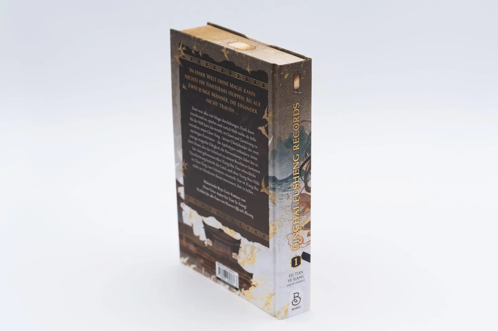 Bild: 9783426564363 | Dinghai Fusheng Records. Buch 1 | Fei Tian Ye Xiang | Buch | 400 S.