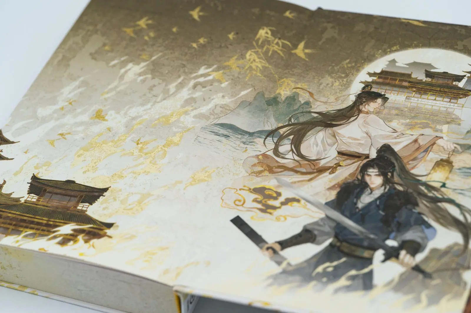 Bild: 9783426564363 | Dinghai Fusheng Records. Buch 1 | Fei Tian Ye Xiang | Buch | 400 S.