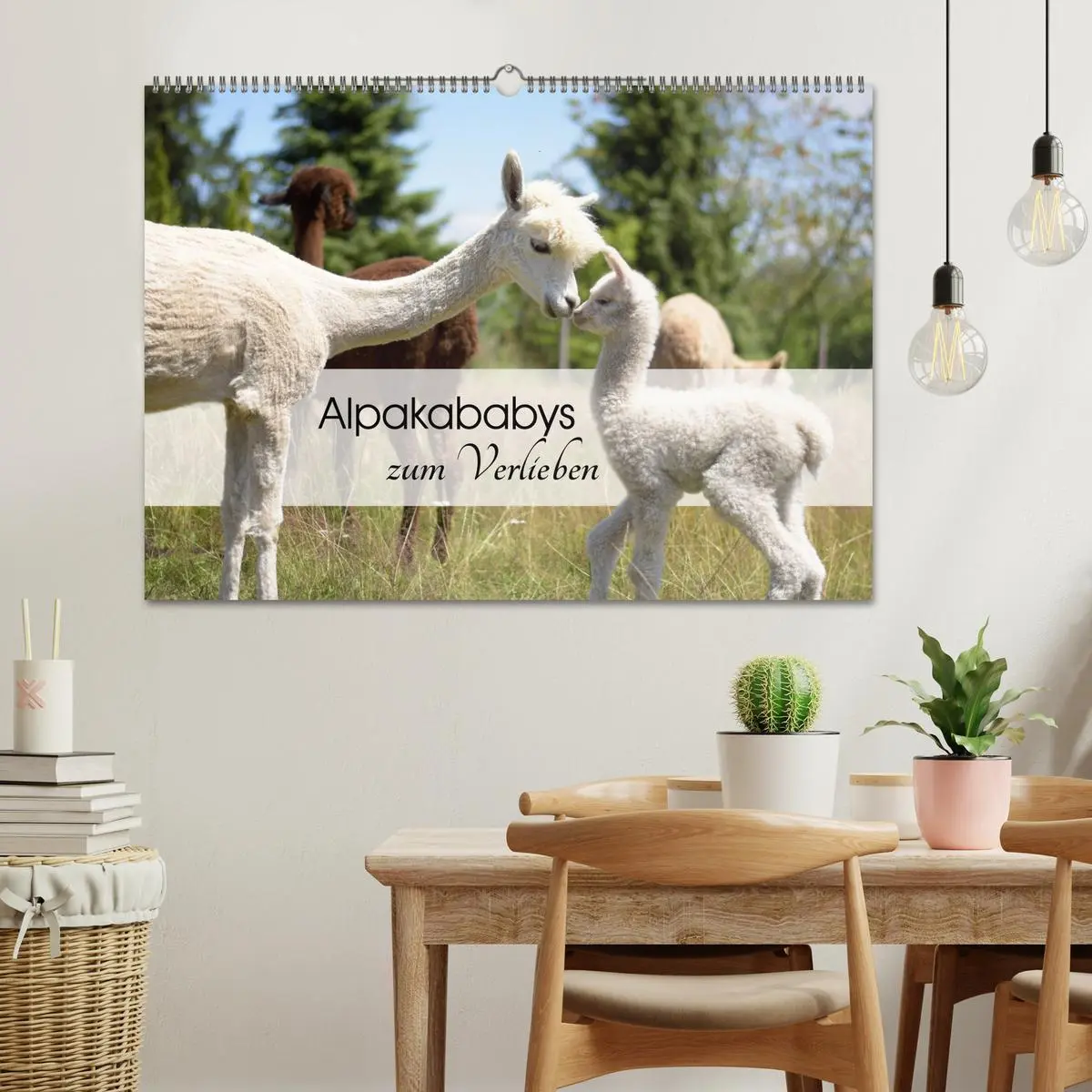 Bild: 9783457564363 | Alpakababys zum Verlieben (Wandkalender 2026 DIN A2 quer), CALVENDO...
