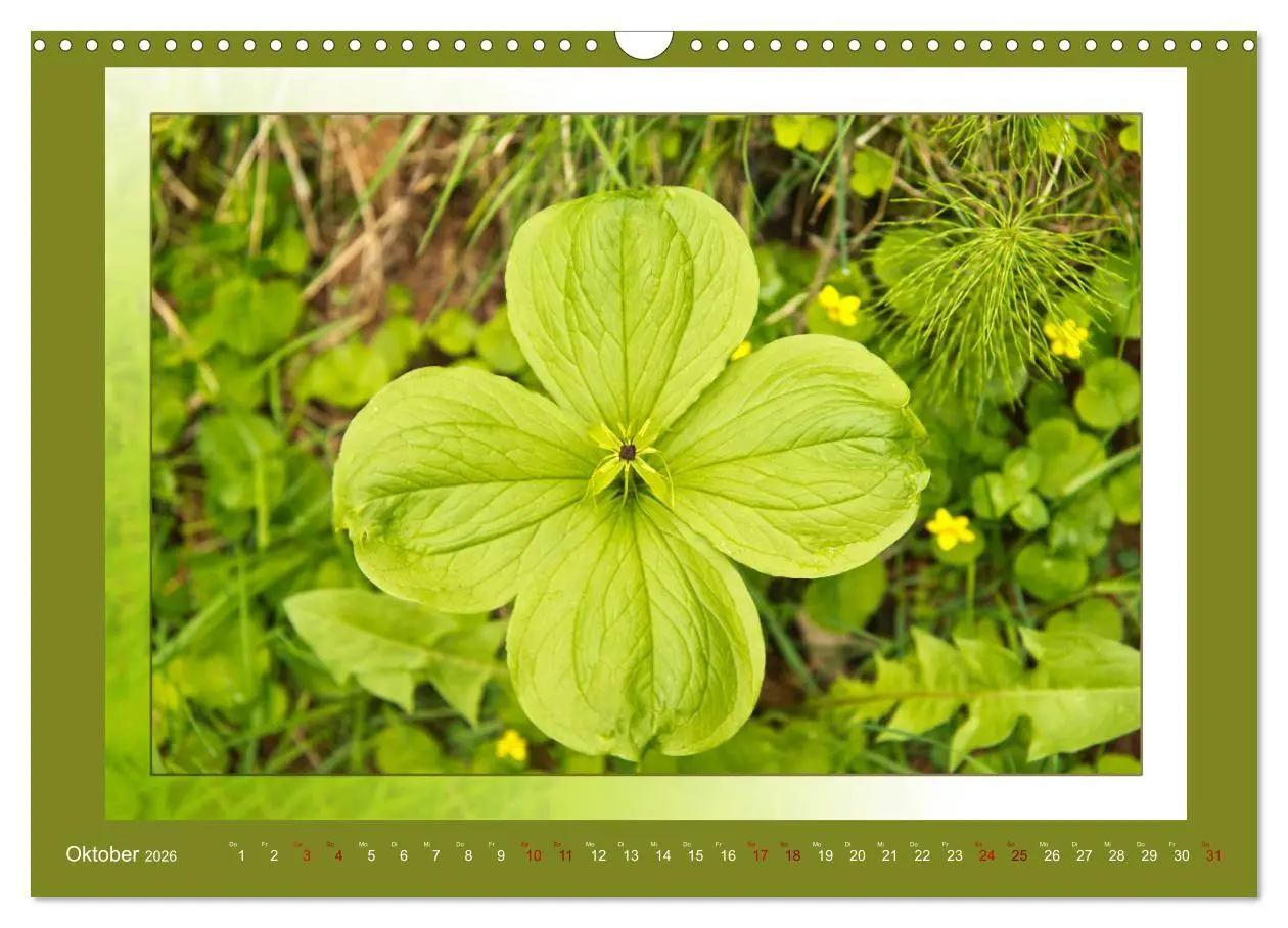 Bild: 9783457864463 | Das vergessene Tal. Schnalstal - Val Senales (Wandkalender 2026 DIN...