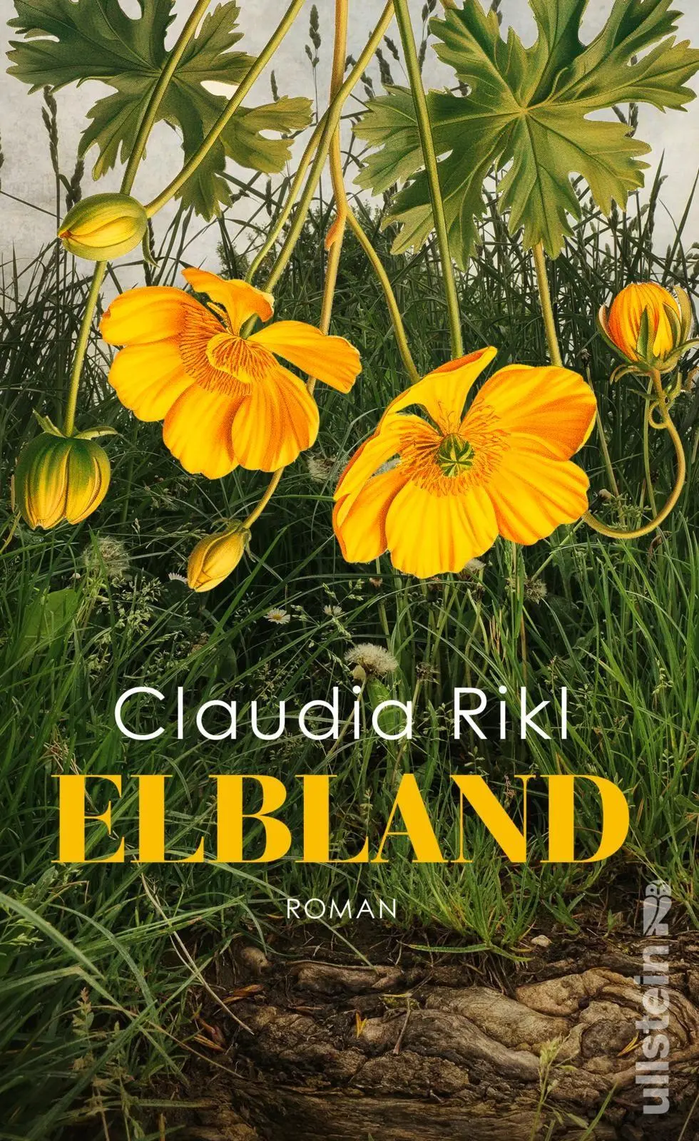 Cover: 9783550204463 | Elbland | Claudia Rikl | Buch | 368 S. | Deutsch | 2026 | Ullstein
