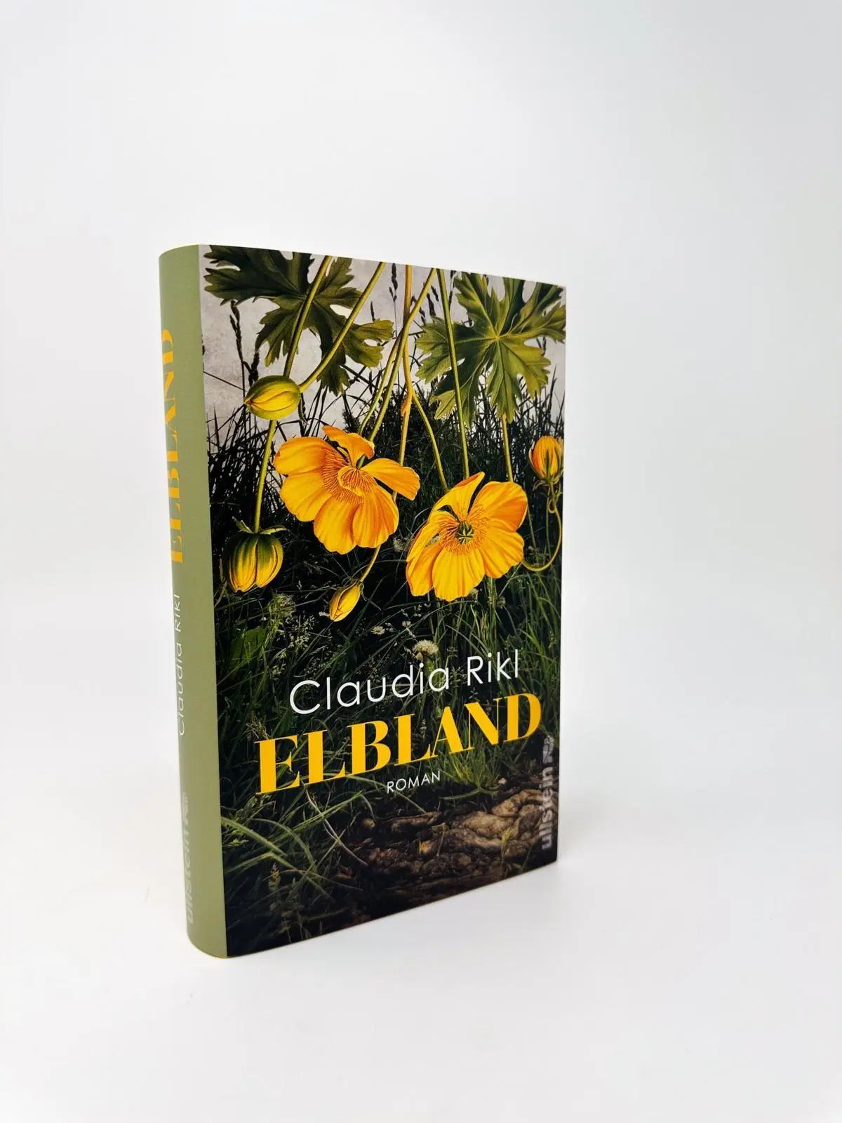 Bild: 9783550204463 | Elbland | Claudia Rikl | Buch | 368 S. | Deutsch | 2026 | Ullstein