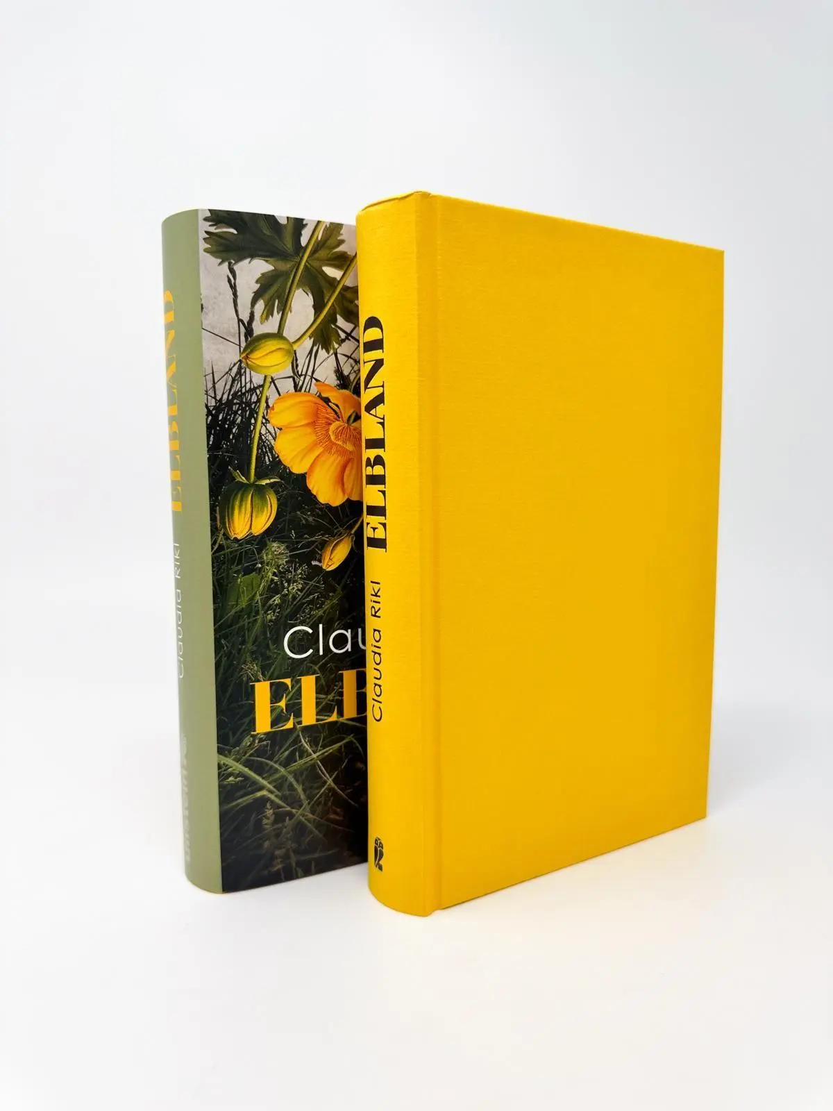 Bild: 9783550204463 | Elbland | Claudia Rikl | Buch | 368 S. | Deutsch | 2026 | Ullstein