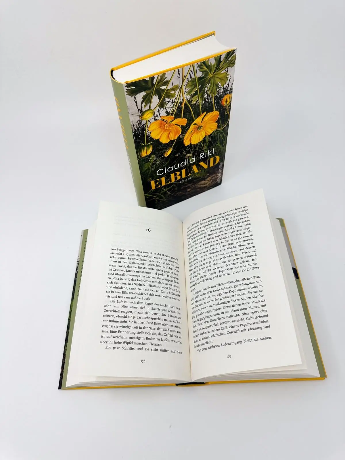 Bild: 9783550204463 | Elbland | Claudia Rikl | Buch | 368 S. | Deutsch | 2026 | Ullstein