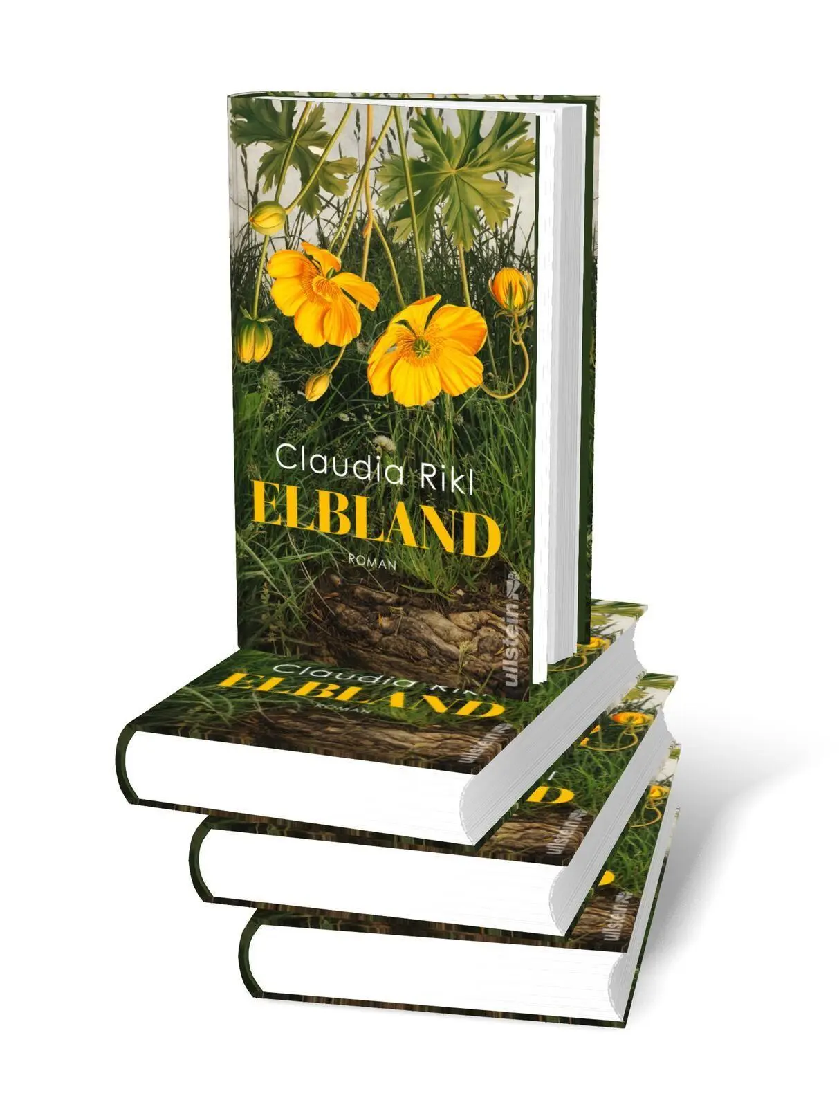 Bild: 9783550204463 | Elbland | Claudia Rikl | Buch | 368 S. | Deutsch | 2026 | Ullstein