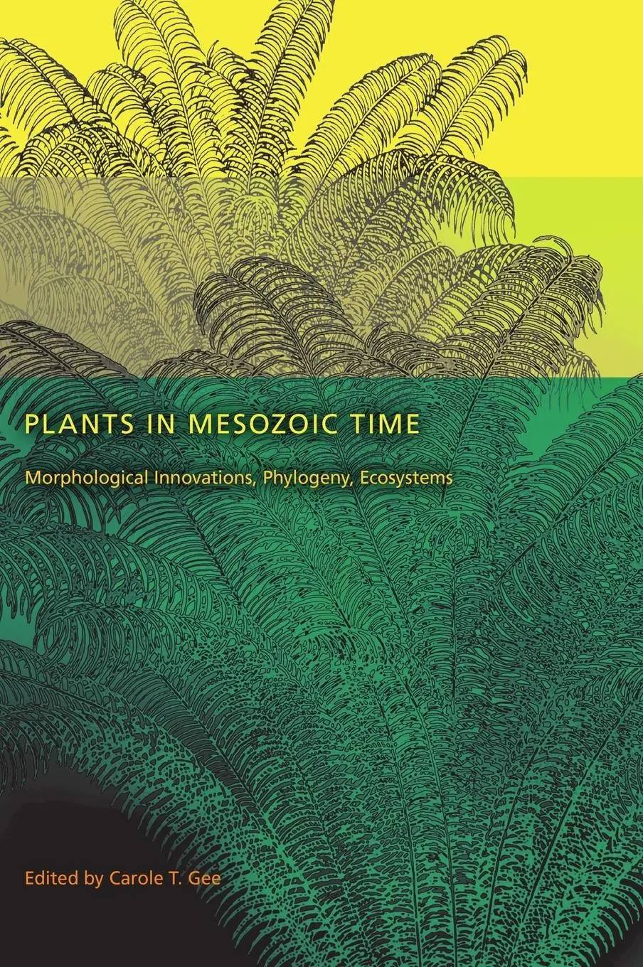 Cover: 9780253354563 | Plants in Mesozoic Time – Morphological Innovations, Phylogeny,...