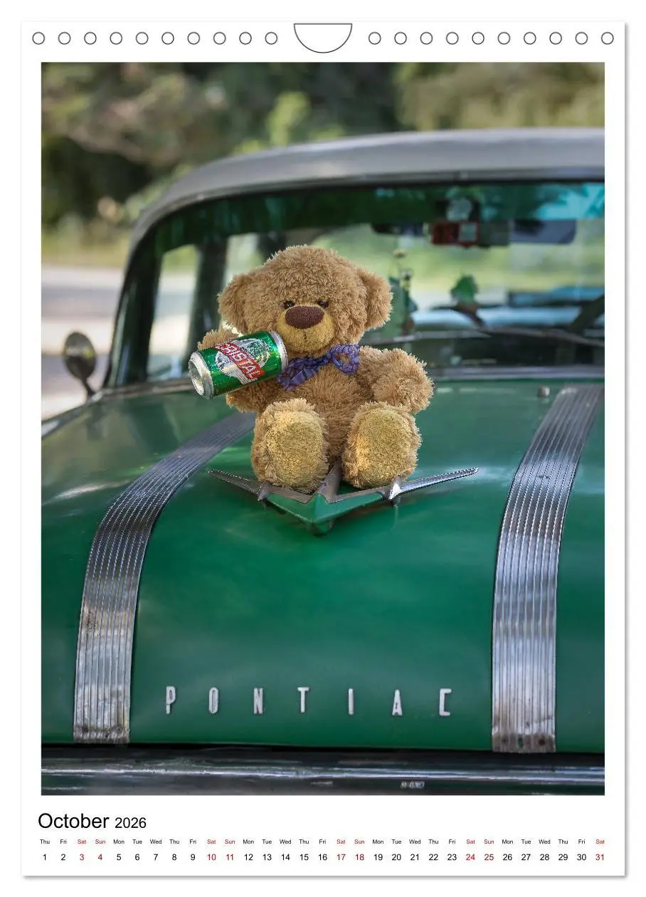 Bild: 9783516564563 | Travelling Teddy Cuba Edition 2026 (Wall Calendar 2026 DIN A4...