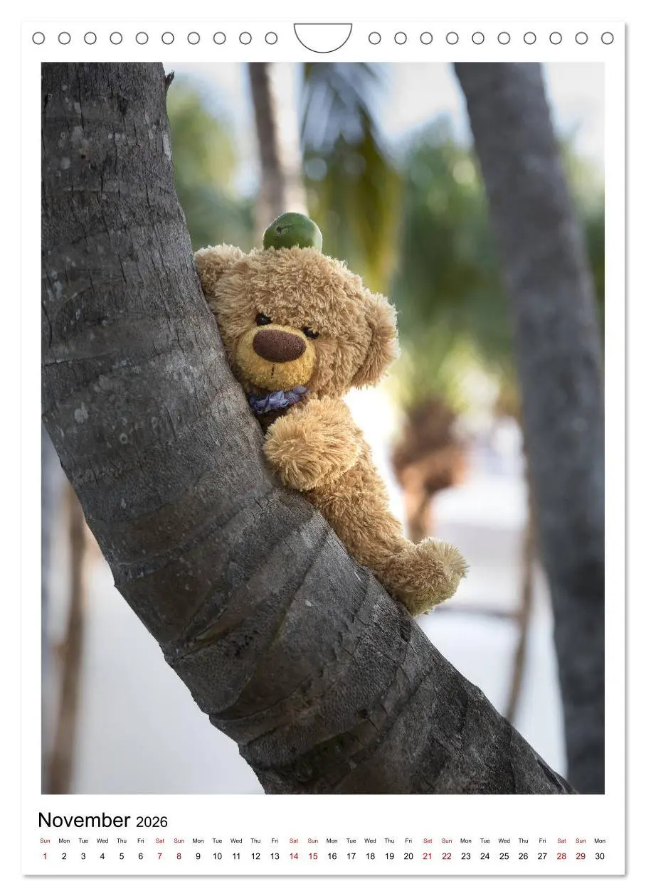 Bild: 9783516564563 | Travelling Teddy Cuba Edition 2026 (Wall Calendar 2026 DIN A4...