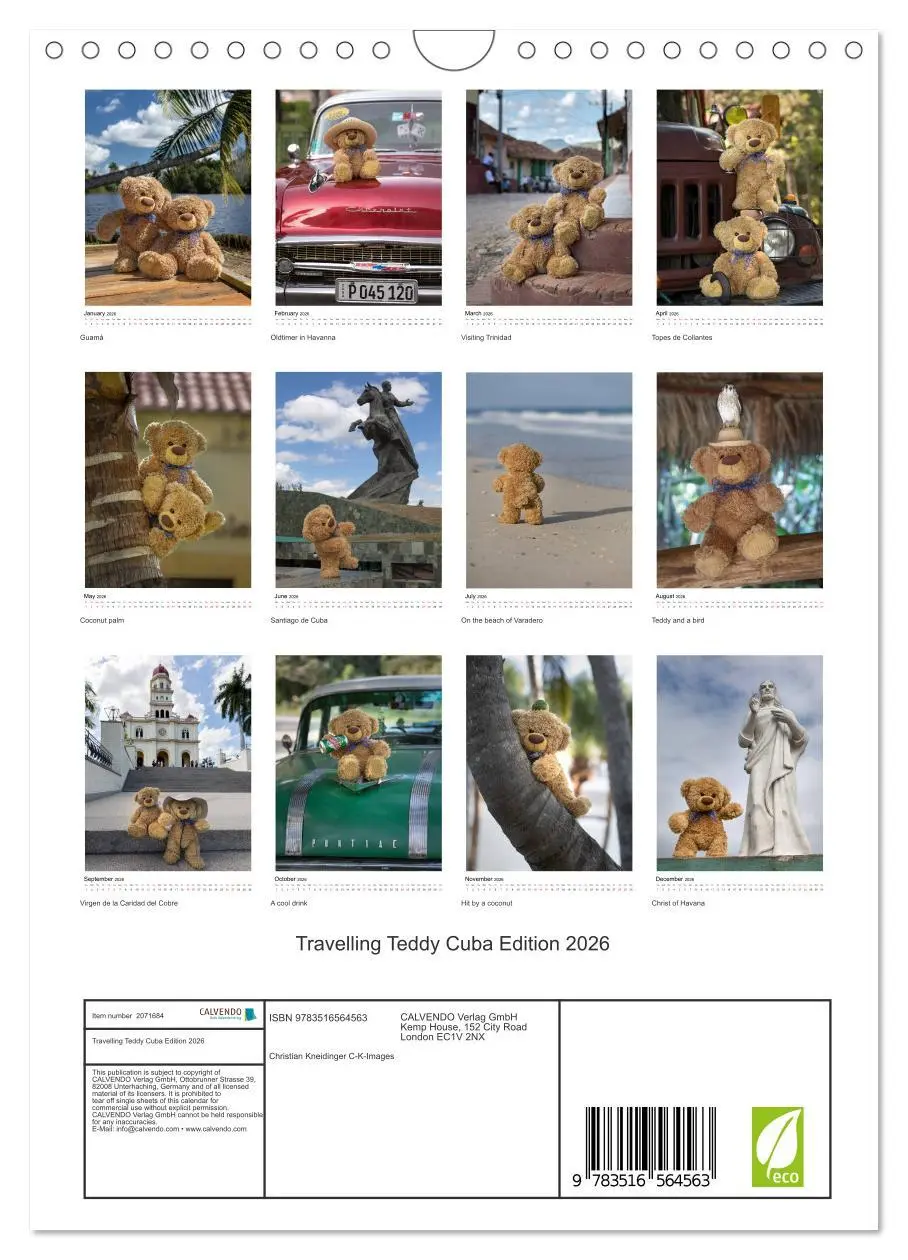 Bild: 9783516564563 | Travelling Teddy Cuba Edition 2026 (Wall Calendar 2026 DIN A4...