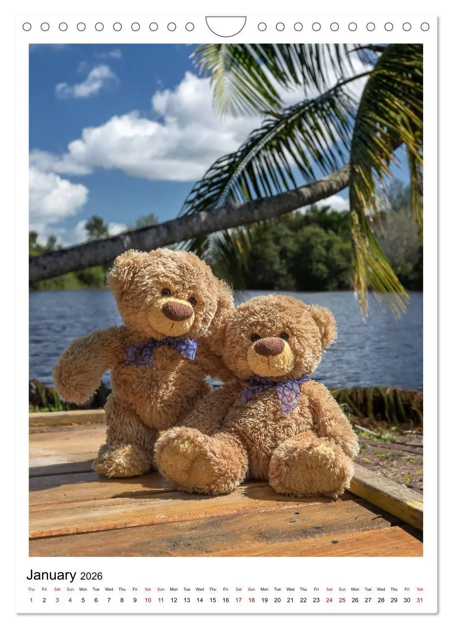 Bild: 9783516564563 | Travelling Teddy Cuba Edition 2026 (Wall Calendar 2026 DIN A4...