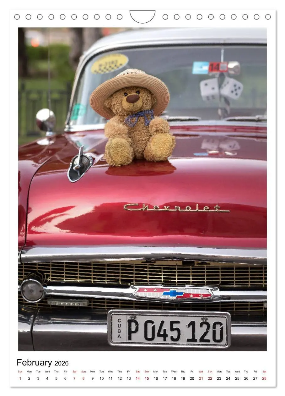 Bild: 9783516564563 | Travelling Teddy Cuba Edition 2026 (Wall Calendar 2026 DIN A4...