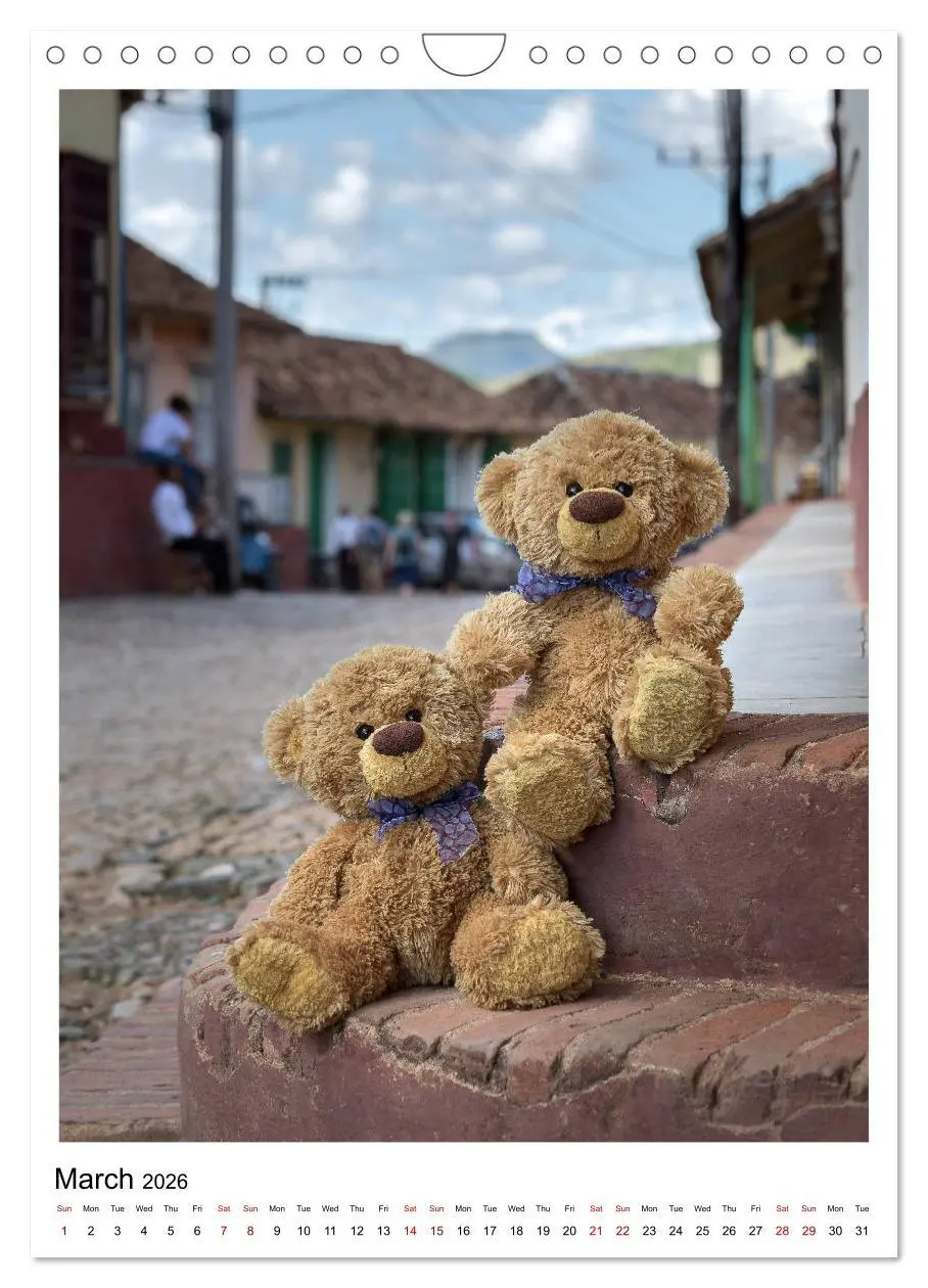 Bild: 9783516564563 | Travelling Teddy Cuba Edition 2026 (Wall Calendar 2026 DIN A4...