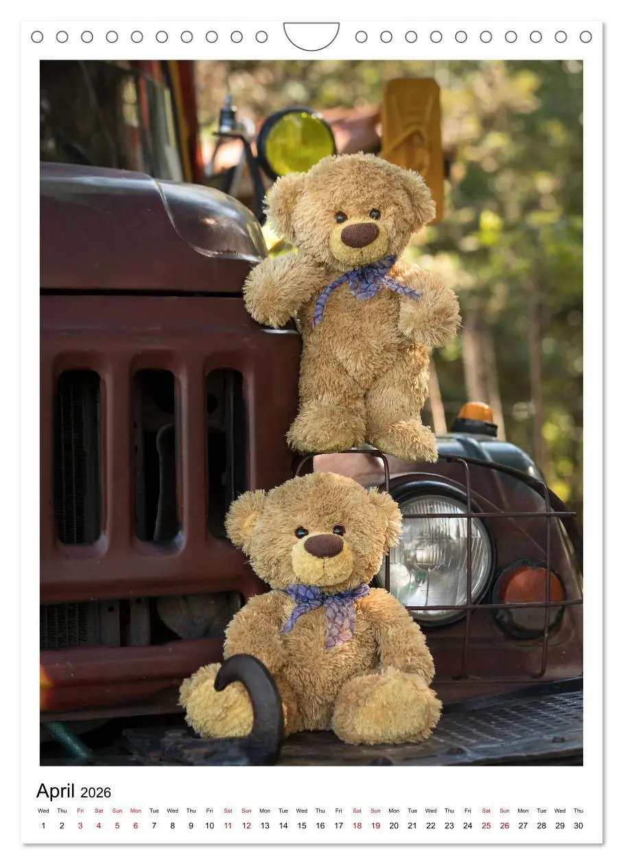 Bild: 9783516564563 | Travelling Teddy Cuba Edition 2026 (Wall Calendar 2026 DIN A4...