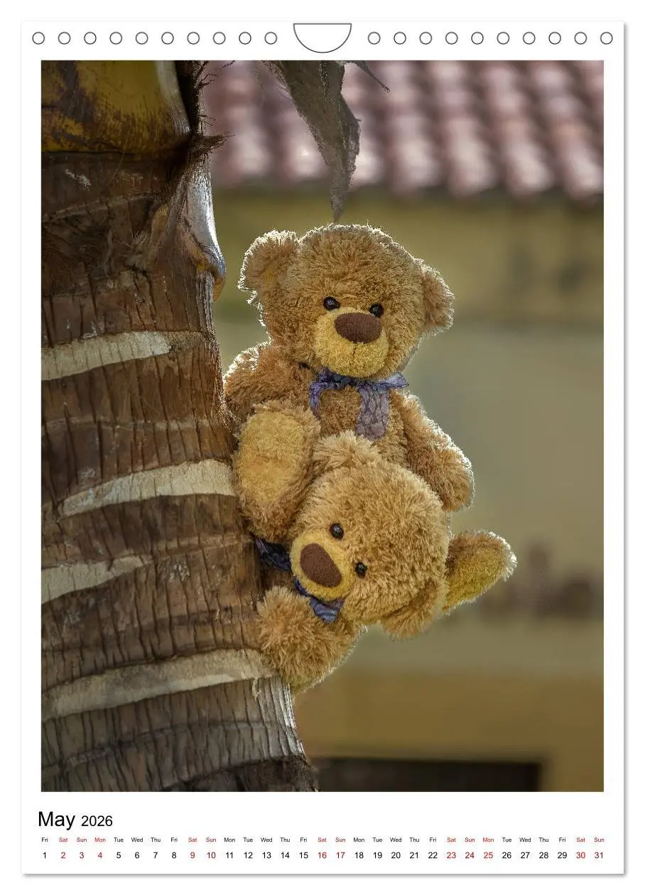 Bild: 9783516564563 | Travelling Teddy Cuba Edition 2026 (Wall Calendar 2026 DIN A4...
