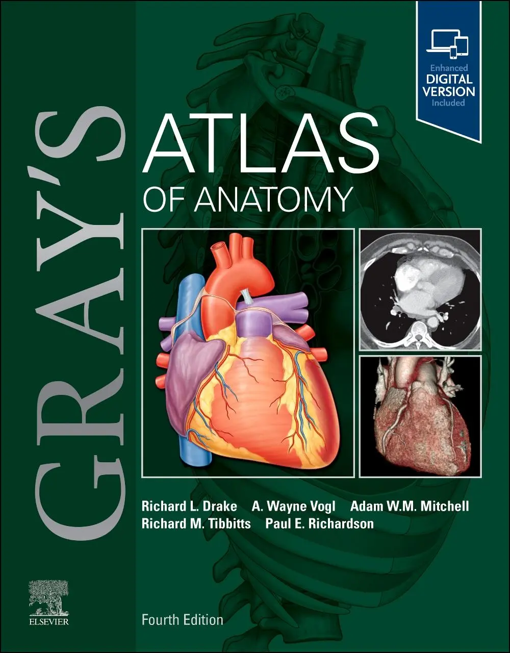 Cover: 9780443284663 | Gray's Atlas of Anatomy | Richard L. Drake (u. a.) | Taschenbuch