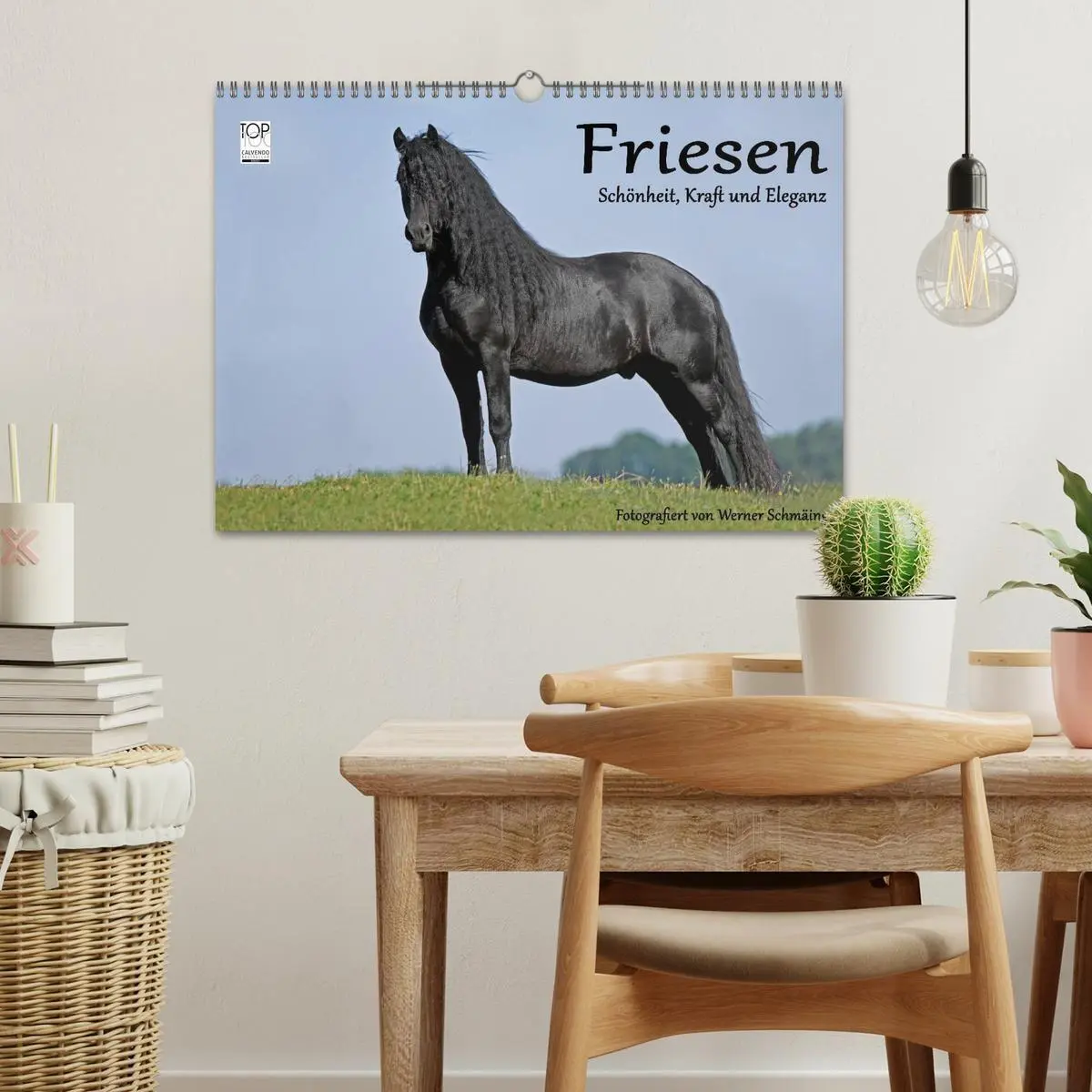 Bild: 9783569954663 | Friesen - Schönheit, Kraft und Eleganz (Wandkalender 2027 DIN A3...
