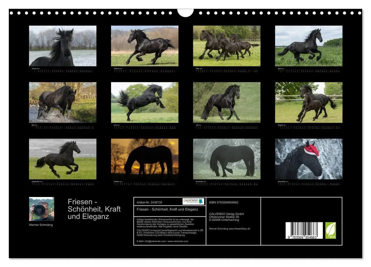 Bild: 9783569954663 | Friesen - Schönheit, Kraft und Eleganz (Wandkalender 2027 DIN A3...