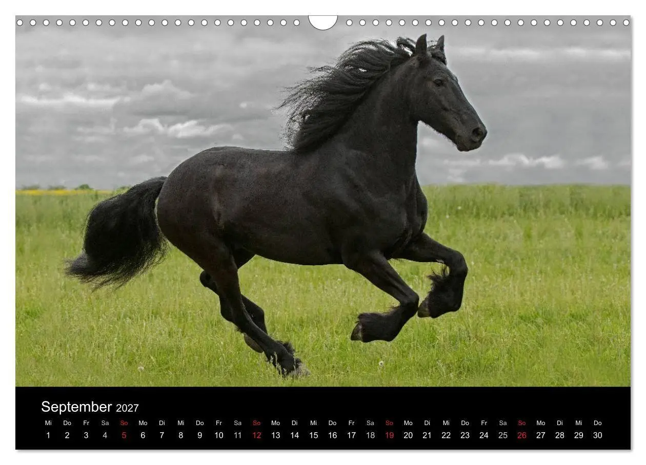 Bild: 9783569954663 | Friesen - Schönheit, Kraft und Eleganz (Wandkalender 2027 DIN A3...