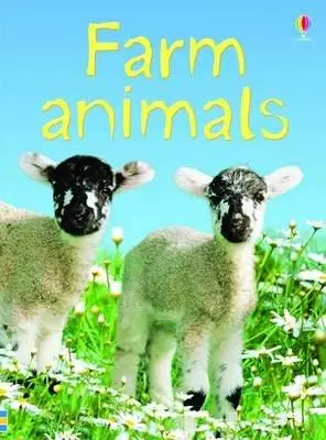 Cover: 9780746074763 | Farm Animals | Katie Daynes | Buch | Gebunden | Englisch | 2007