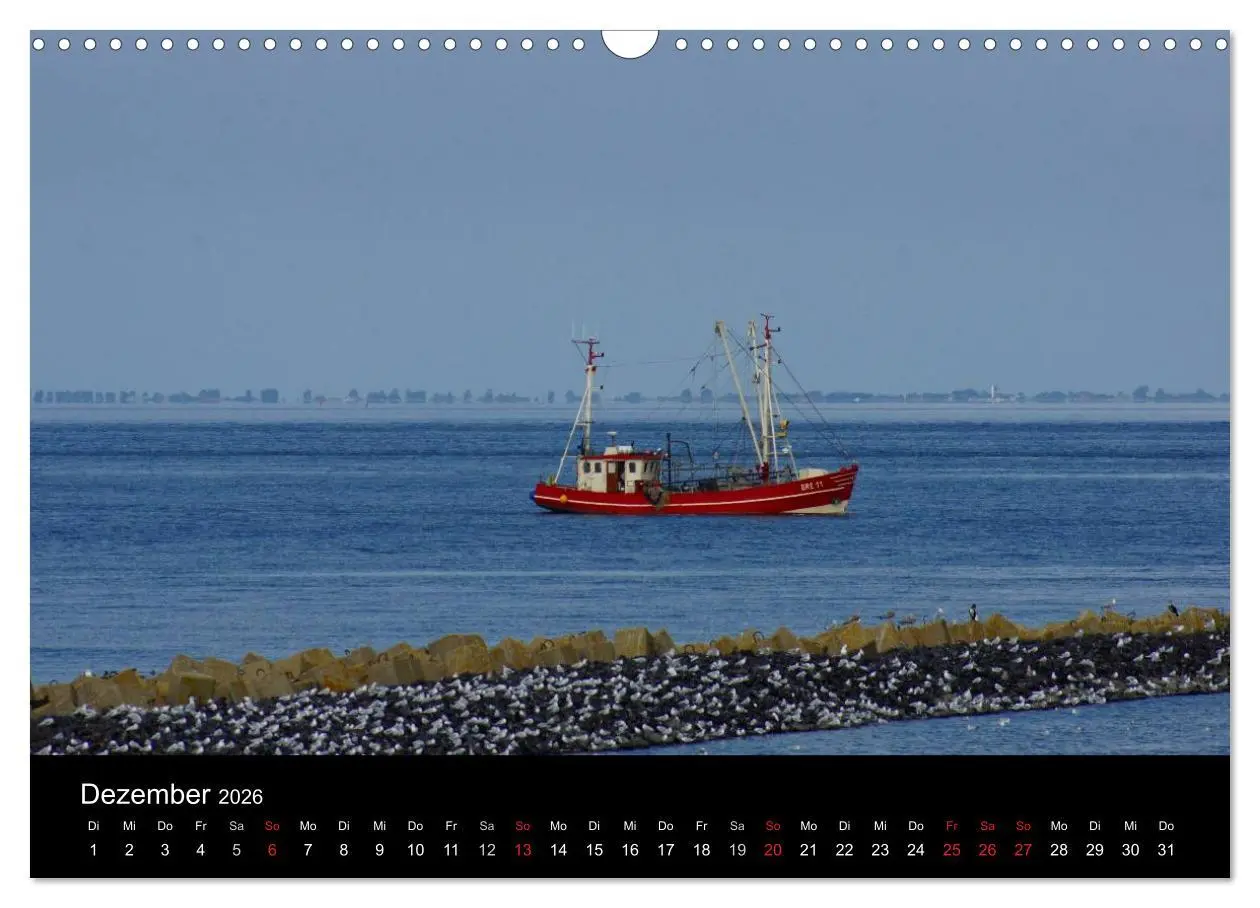 Bild: 9783516164763 | Cuxhaven an der Nordsee (Wandkalender 2026 DIN A3 quer), CALVENDO...