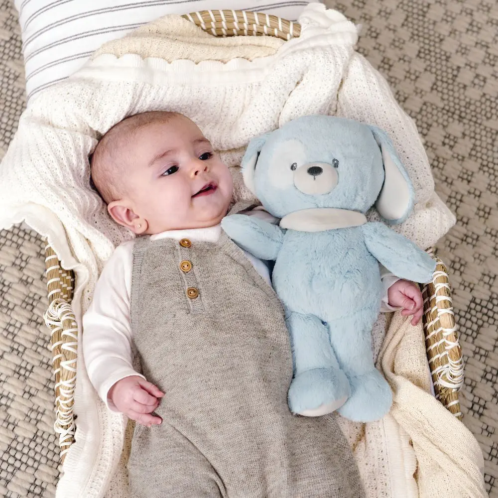 Bild: 778988444863 | GND Eco Baby Hündchen | In Kartonage | 44486 | Deutsch | 2023
