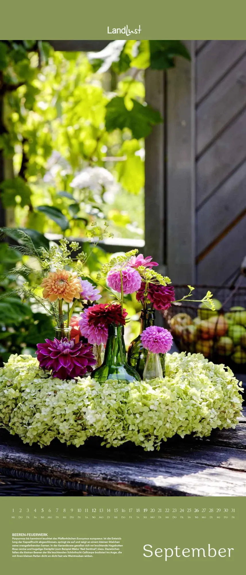 Bild: 4069095004863 | Landlust Vertikal: Blüten-Poesie 2026 Vertikal-Kalender -...