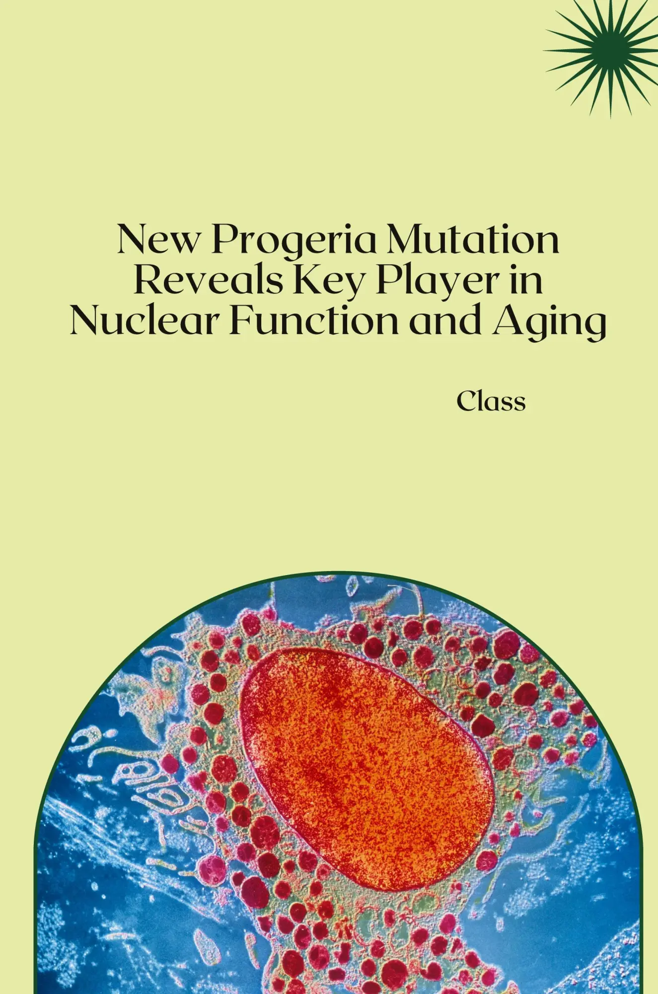 New Progeria Mutation Reveals Key Player in Nuclear Function and Aging - Class Kartoniert (TB)