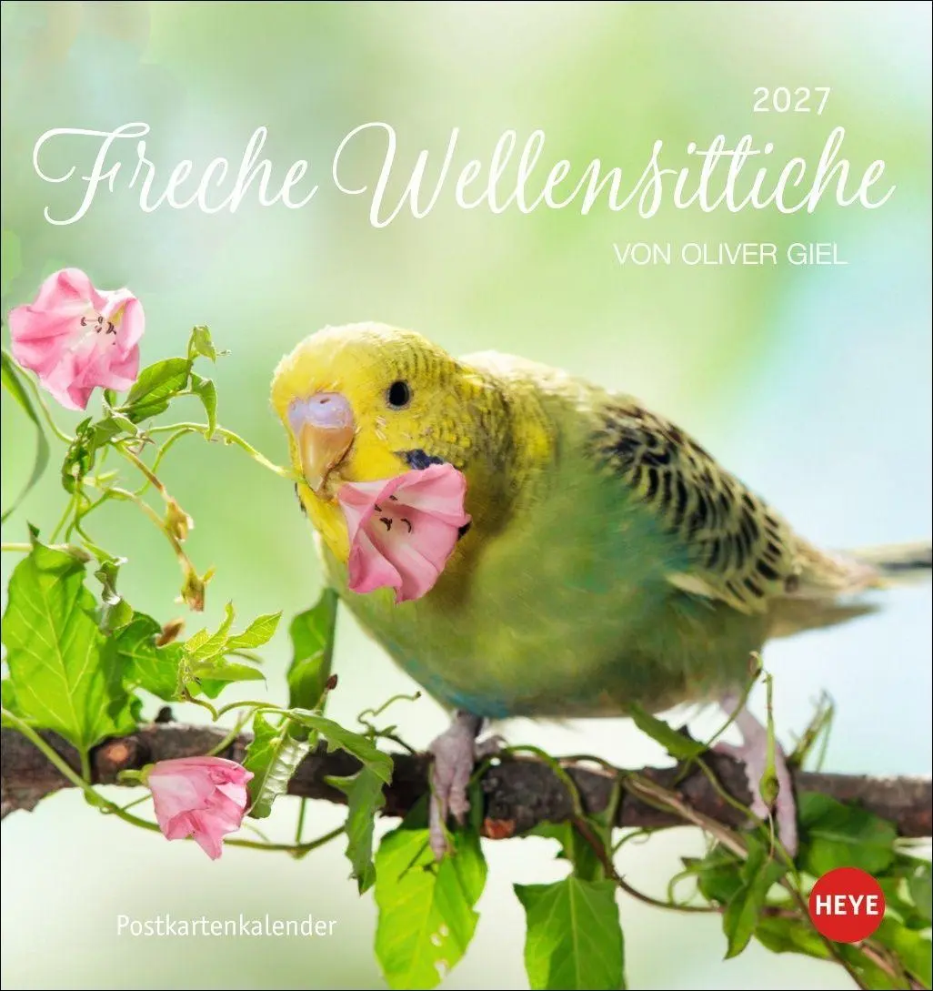 Cover: 9783756414963 | Freche Wellensittiche Postkartenkalender 2027 | Oliver Giel | Kalender