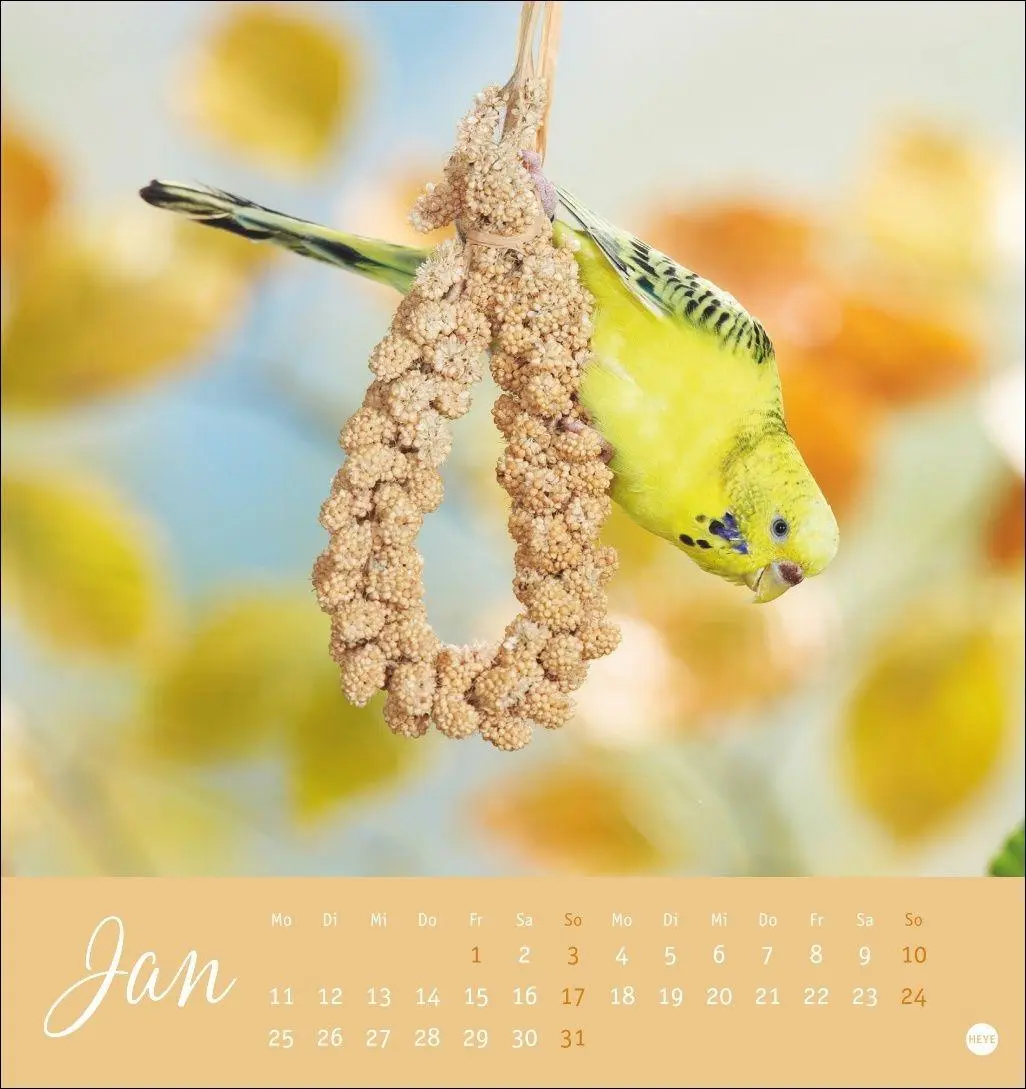 Bild: 9783756414963 | Freche Wellensittiche Postkartenkalender 2027 | Oliver Giel | Kalender