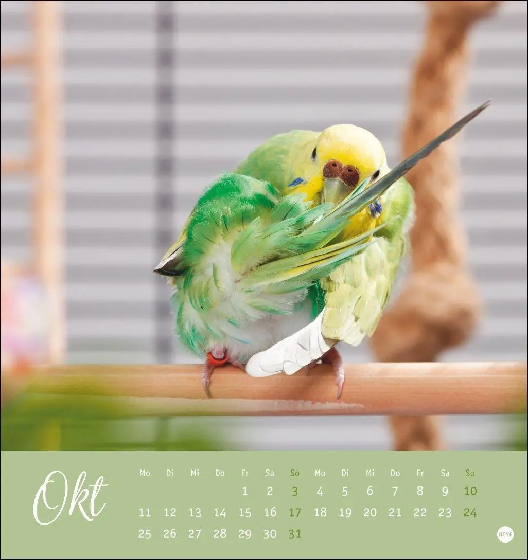 Bild: 9783756414963 | Freche Wellensittiche Postkartenkalender 2027 | Oliver Giel | Kalender
