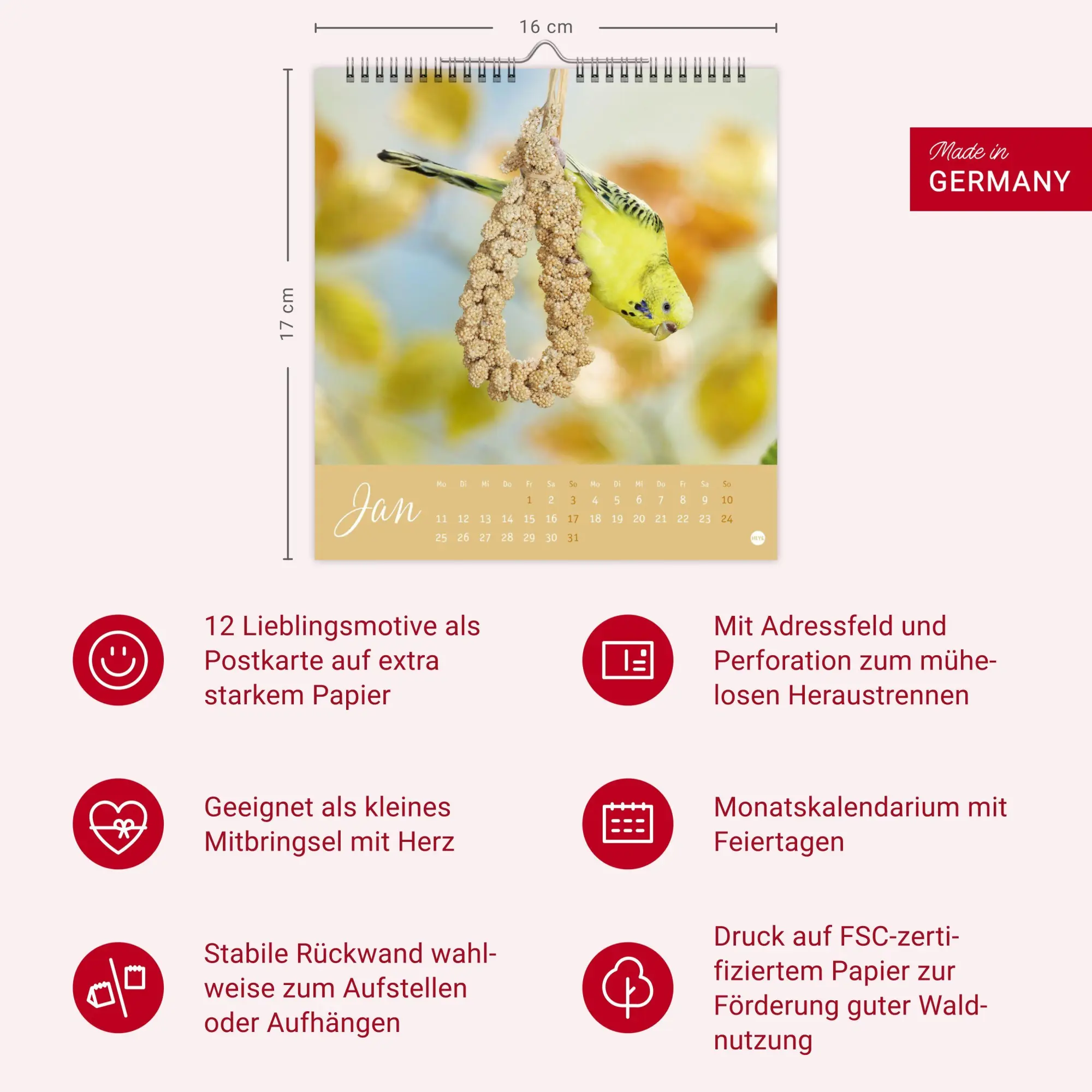 Bild: 9783756414963 | Freche Wellensittiche Postkartenkalender 2027 | Oliver Giel | Kalender
