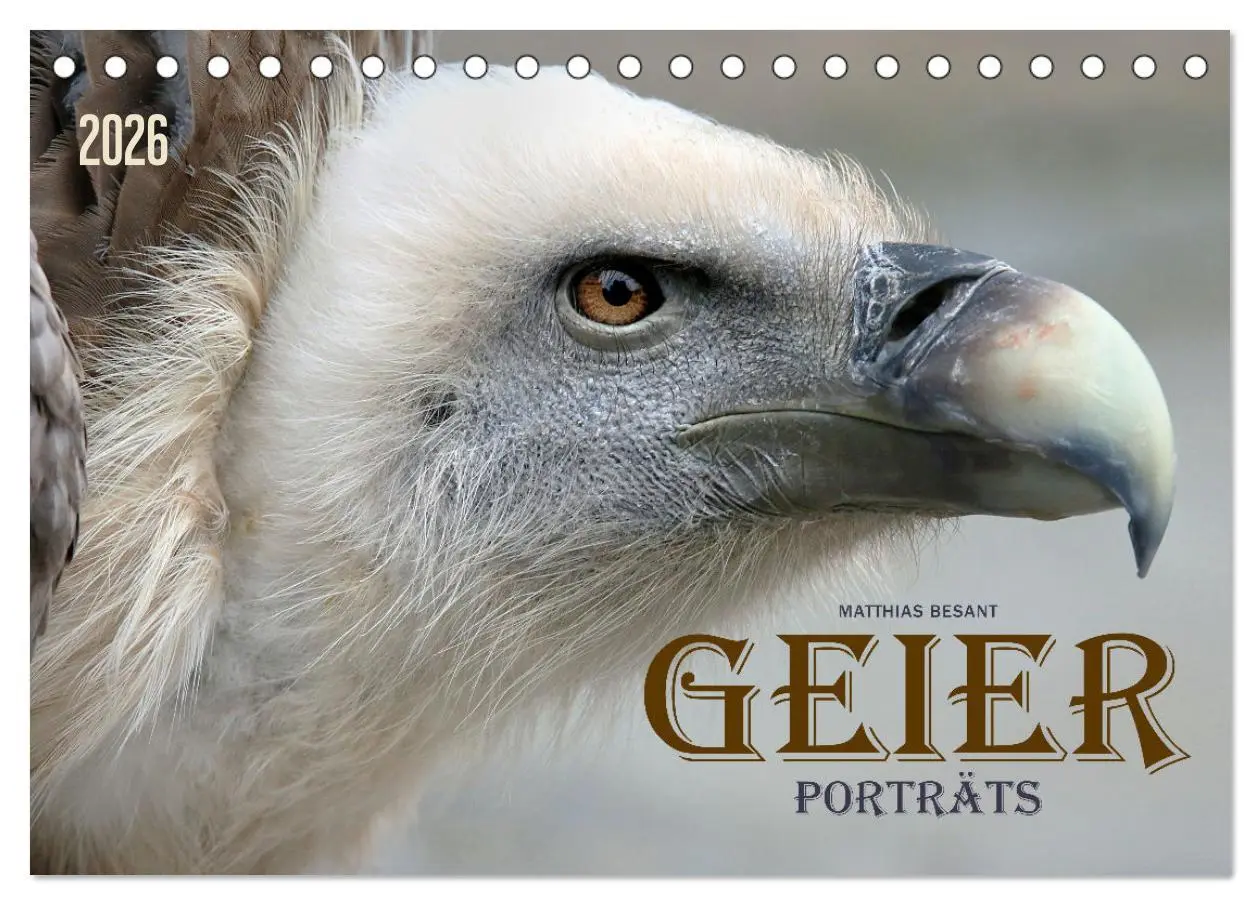 Cover: 9783457635063 | GEIERPORTRÄTS (Tischkalender 2026 DIN A5 quer), CALVENDO...