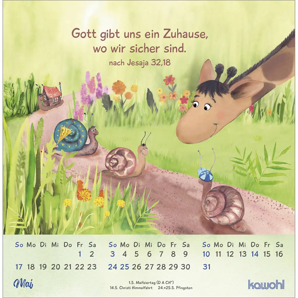 Bild: 9783754875063 | Freu dich mit uns! 2026 | Postkarten-Kalender | Kalender | 13 S.