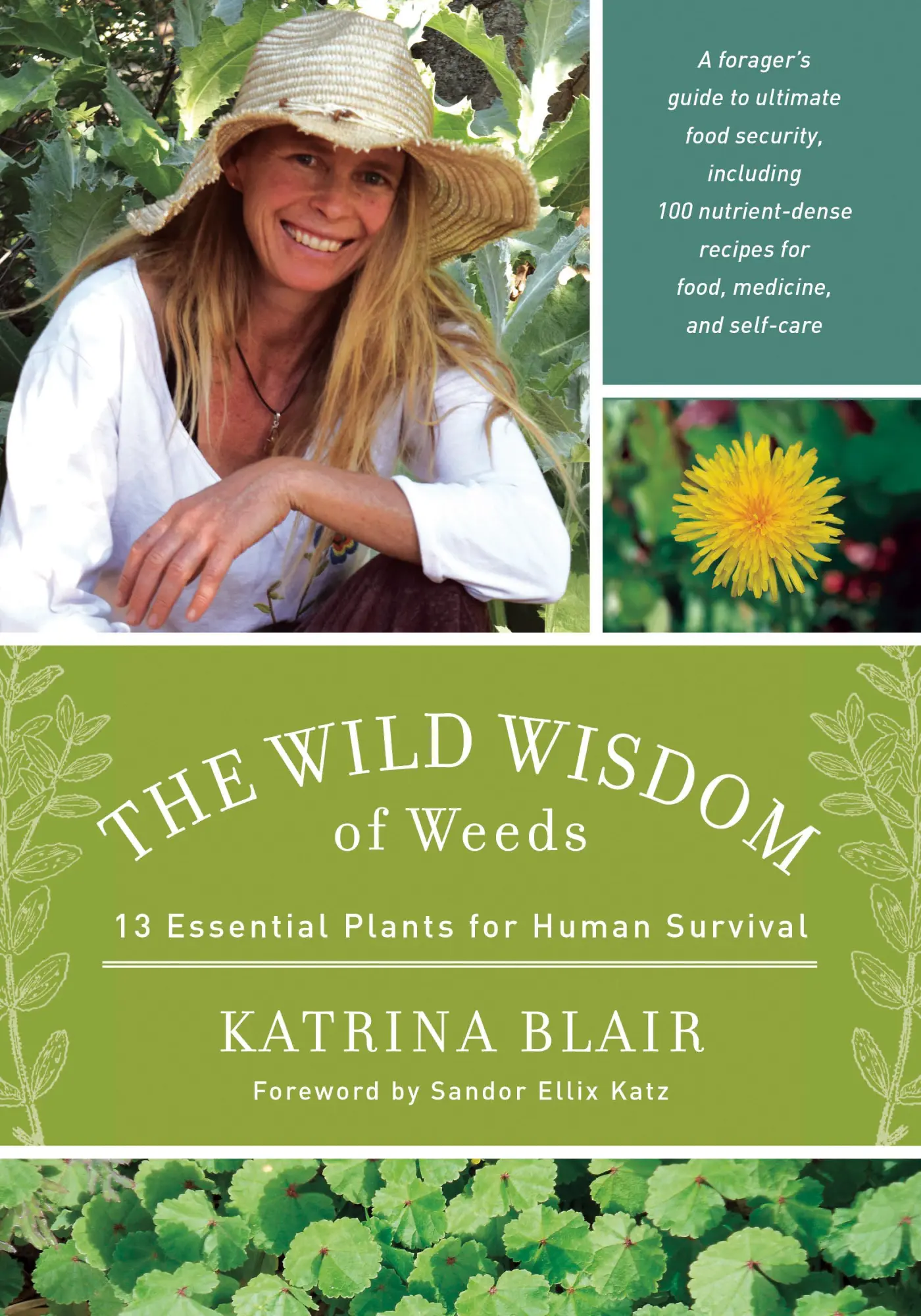 Cover: 9781603585163 | The Wild Wisdom of Weeds | 13 Essential Plants for Human Survival