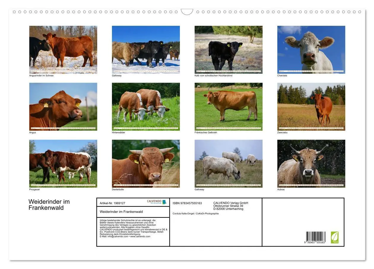 Bild: 9783457555163 | Weiderinder im Frankenwald (Wandkalender 2026 DIN A2 quer),...